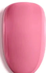 Bubblegum